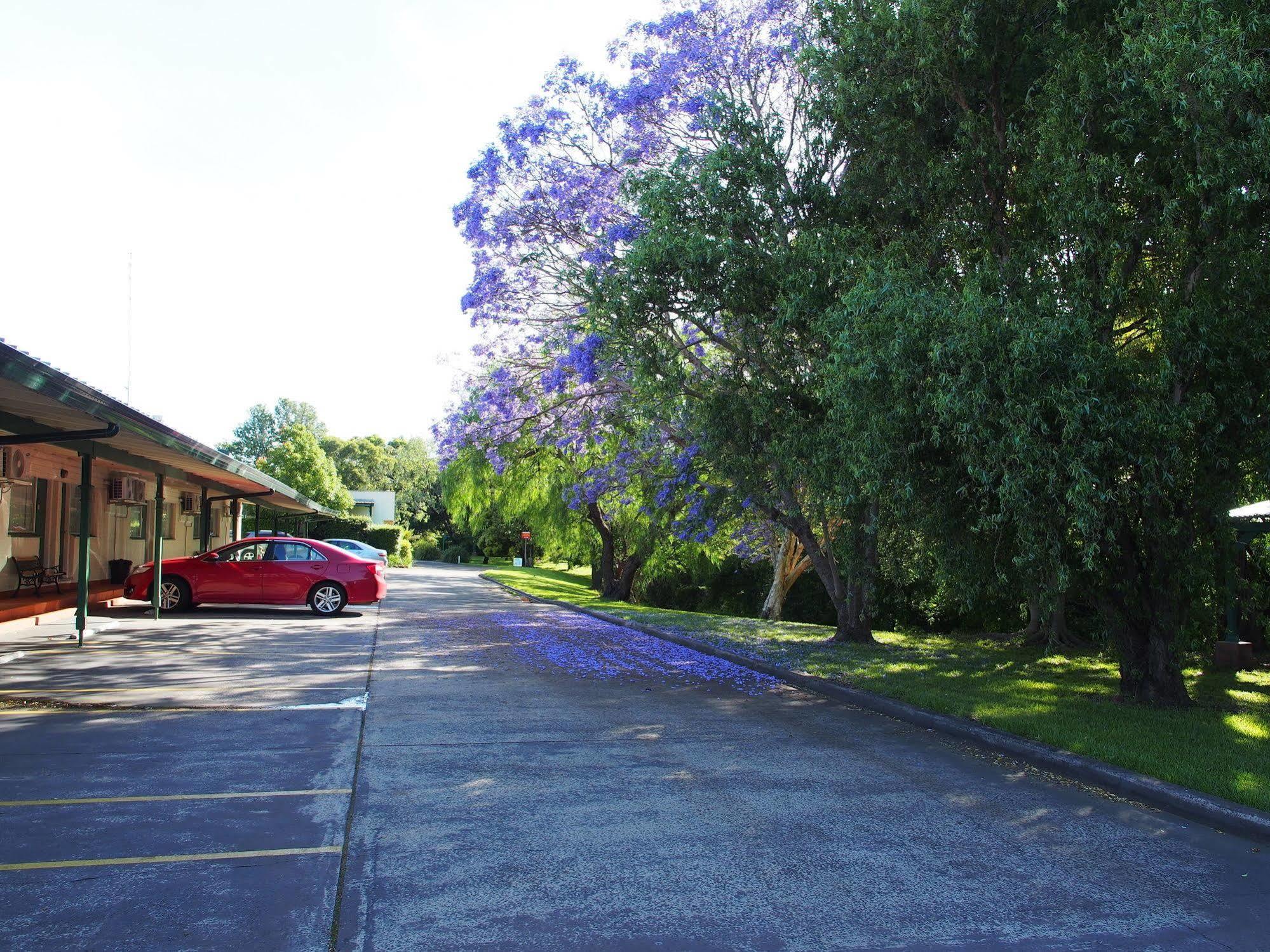 Solomon Inn Motel Figtree วูลองกอง ภายนอก รูปภาพ